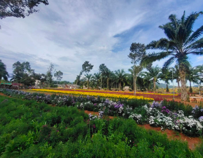 ทัวร์กระบี่4วัน3คืน