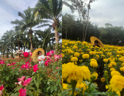 ทัวร์กระบี่4วัน3คืน