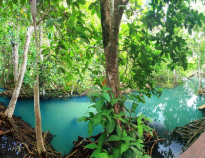 ทัวร์กระบี่4วัน3คืน